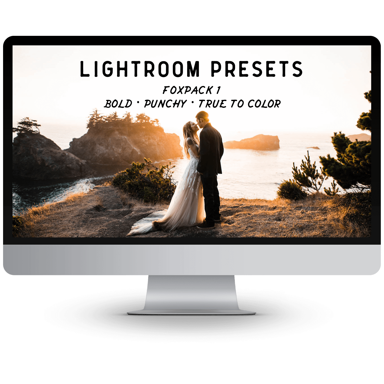 Photography business education presets